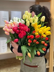 Классический тюльпан микс