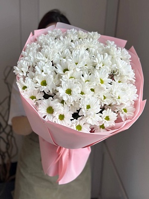 АКЦИЯ. Букет из 15 кустовых хризантем "Нюша" (250₽/шт)