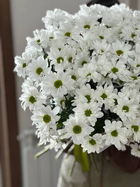 АКЦИЯ. Букет из 15 хризантем "Полевой"