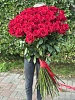 СПЕЦПРЕДЛОЖЕНИЕ. Премиальная роза 90-100 см 