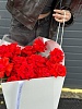 Букет из 25 алых французских роз 