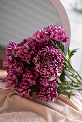 Одноголовая хризантема "Бигуди" фиолетовая 