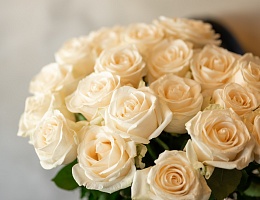 Кому и по какому случаю дарят белые розы: символика и традиции
