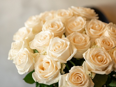 Кому и по какому случаю дарят белые розы: символика и традиции