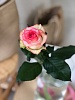 Роза Россия розовая 60 см (АКЦИЯ) 
