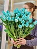 Тюльпан классический крашенный (бирюзовый)