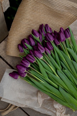 Фиолетовых классические тюльпаны "Purple lady "