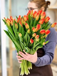 Тюльпан классический Lalibela