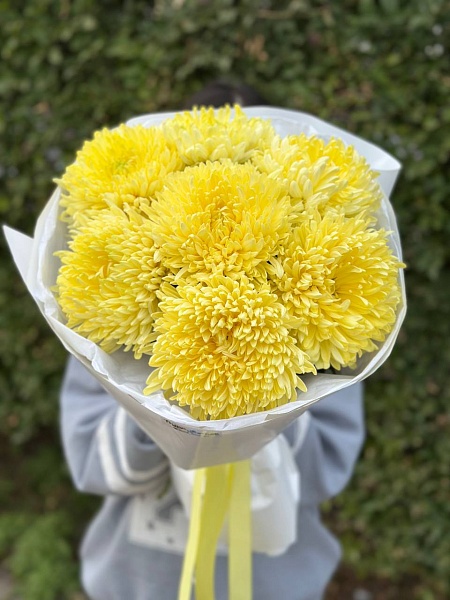 Букет из 7 одноголовых хризантем "Солнечный день"