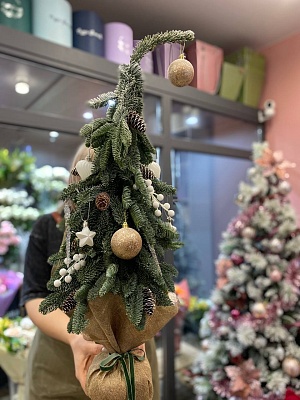 Композиция с нобилисом в виде ёлочки "Скандинавия"