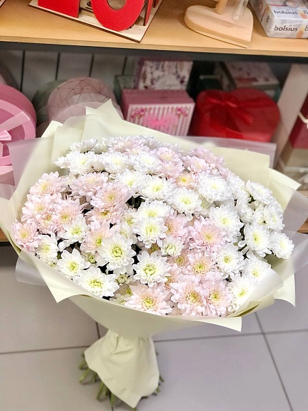 Монобукет из 25 хризантем "Спящая красавица"