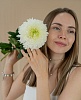 Хризантема одноголовая белая "Антонов"