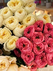 Пионовидная роза Эквадор в ассортименте