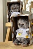 Басик Baby в футболке с автопортретом, 20 см,ВВ-149