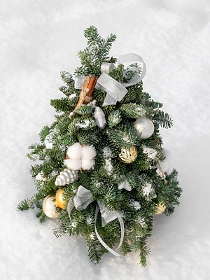 Новогодняя композиция из нобилиса "Ёлочка"
