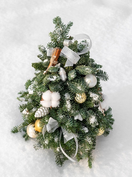 Новогодняя композиция из нобилиса "Ёлочка"