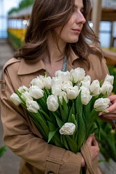 Тюльпан пионовидный белый "Mondial"
