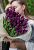 Фиолетовых классические тюльпаны "Purple lady "